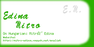edina mitro business card